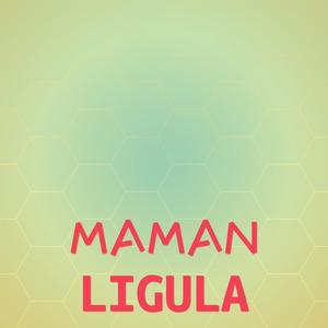 Maman Ligula