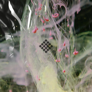 Chameleon (Extended Mix)