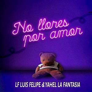 No Llores Por Amor