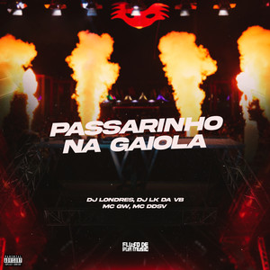 Passarinho na Gaiola