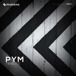 You Are Perfect (PYM Remix)