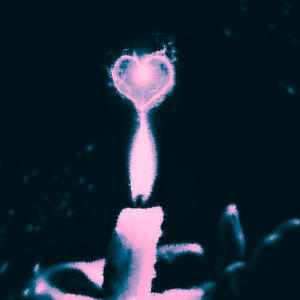 imu (feat. KiiNGSTouT) (Explicit)