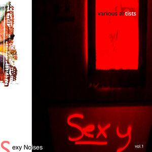 Sexy Noises Vol.1