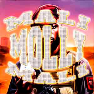 mali mali molly ▄︻┻┳═一 ✦ ✦ ✦ (Explicit)