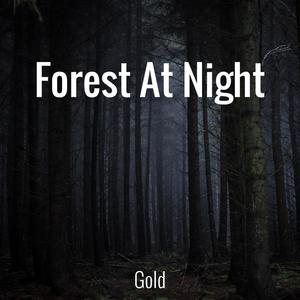 Forest At Night