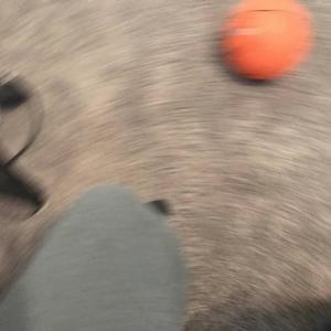 What happend (feat. Ybl Jayflo & C1S1Tae) (Explicit)