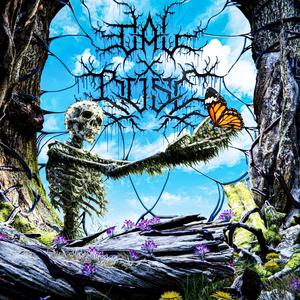 Plastic Empathy (Explicit)