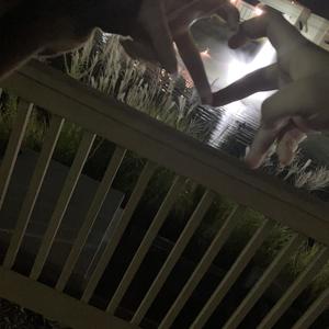 love keeps killing my heart with mental destruction (Explicit)