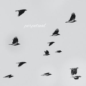 Perpetual