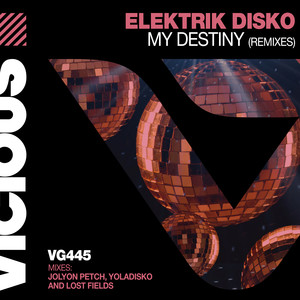 My Destiny (Lost Fields Remix)