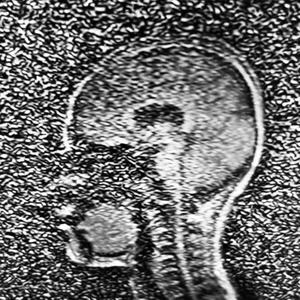 美丽的笨女人 (COVER版)