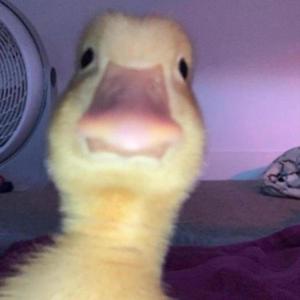 Confused! (Explicit)