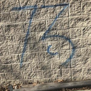 Lazy Mind (Explicit)