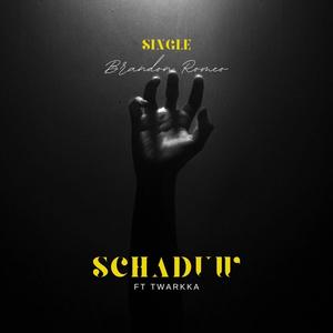 Schaduw (feat. Twarkka)
