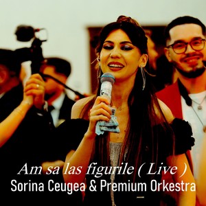 Am sa las figurile (Live)