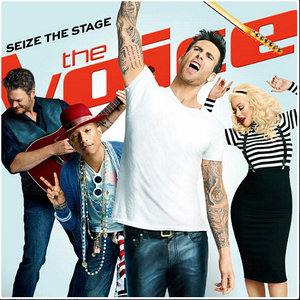 Fields of Gold (The Voice Performance)