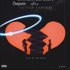Despacio - Never Loved You (Explicit)