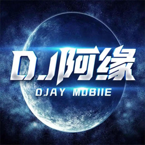 三妻四妾（田栩宁进行曲）-DJ阿缘Mobie