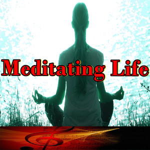 Meditating Life