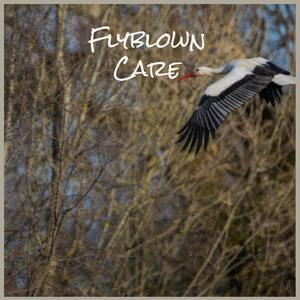 Flyblown Care