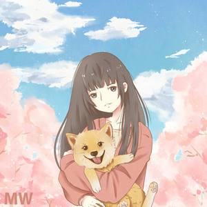 123我爱你（中英日韩四语）-2018HB to 王博文