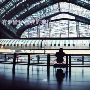 有谁懂我 懂我的难过 (男生版)