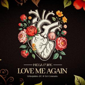 MEGA FUNK LOVE ME AGAIN (Explicit)