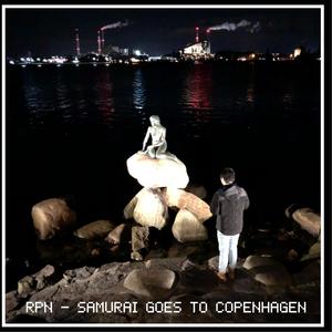 Samurai Goes To Copenhagen