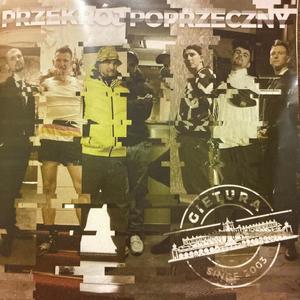 Przekrój poprzeczny (Explicit)