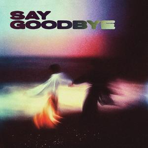SAY GOODBYE