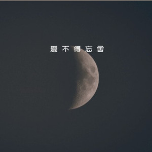 爱不得忘不舍