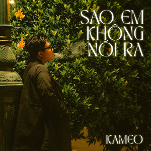 Sao Em Không Nói Ra