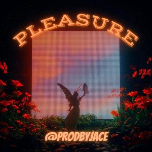 Pleasure (feat. rigasbeats)