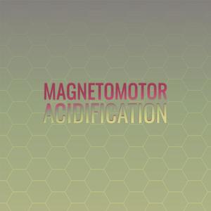 Magnetomotor Acidification