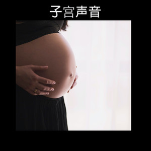 子宫噪音 - Uterine Noise