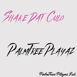 Shake Dat Culo (feat. PalmTree Playaz, Acity & Yunglow) [Explicit]