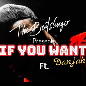 If You Want (feat. Danjah)