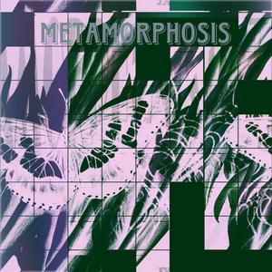 Risin /Prod. Storm!/ (feat. TAYLER) (Explicit)