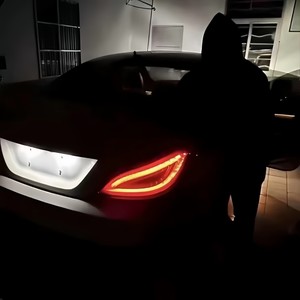 风可以越过荆棘