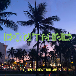 Don't Mind (Explicit)