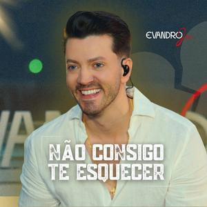 Não Consigo Te Esquecer