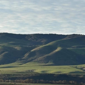 I Sing Praises To Your Name (feat. LoverOfGOD)