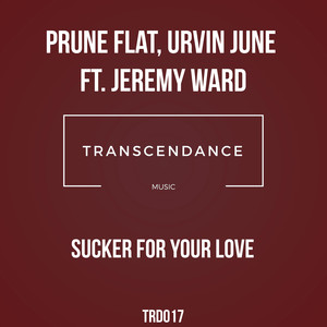 Sucker For Your Love (Original Mix)