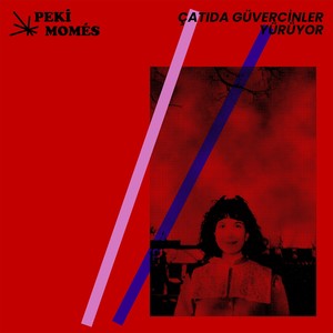 Çatıda Güvercinler Yürüyor