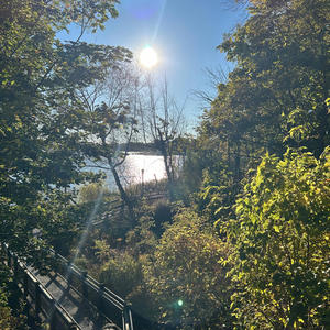 kellyrowland (Explicit)