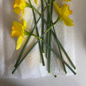 Maybe (you've been here all along)