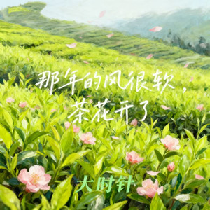 那年的风很软（茶花开了）