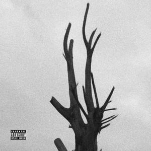 Back 2 Back (feat. Jabulani Cindi) (Deluxe|Explicit)