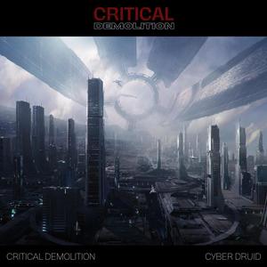 Critical Demolition