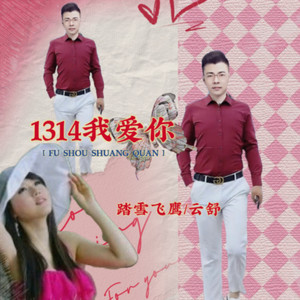 1314 我爱你